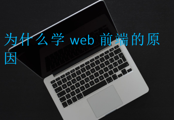 為什么學(xué)web前端的原因