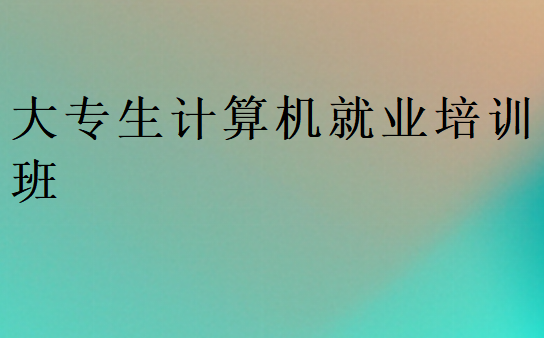 大專生計(jì)算機(jī)就業(yè)培訓(xùn)班