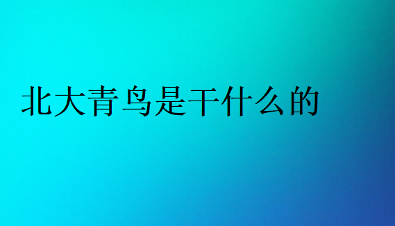 北大青鳥(niǎo)是干什么的