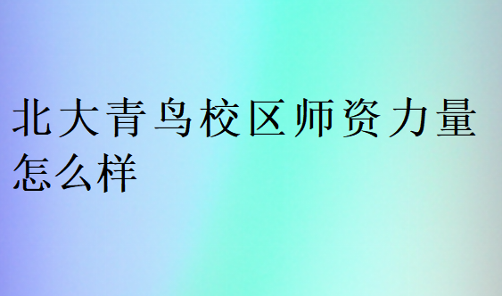 北大青鳥校區(qū)師資力量怎么樣