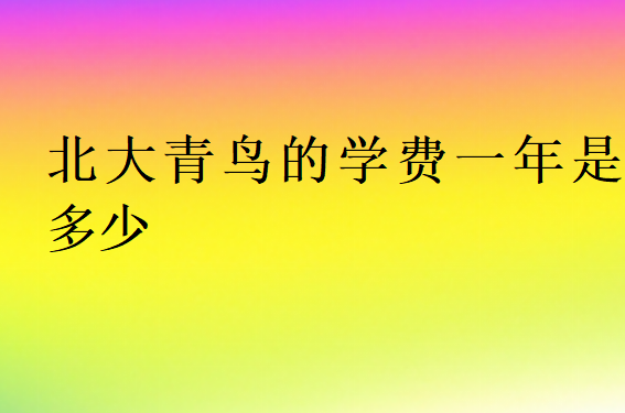 北大青鳥的學(xué)費(fèi)一年是多少