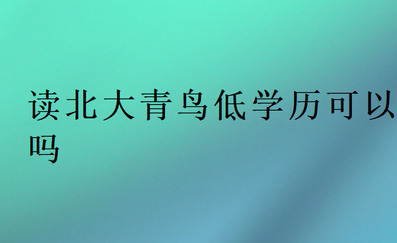 讀北大青鳥低學(xué)歷可以嗎