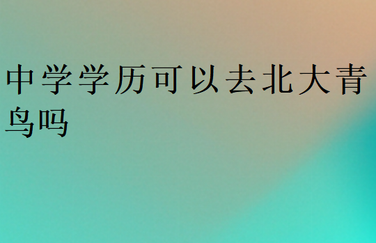 中學(xué)學(xué)歷可以去北大青鳥嗎